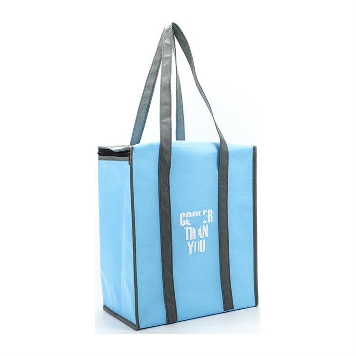 Non Woven Cooler Bag factory